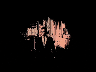 Geyser Wes Parapsychologist